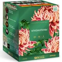 Фейерверк Хризантемы. Купить Фейерверк Хризантемы Z1032 — магазин продажа салютов недорого —  Ржев, производитель Русский фейерверк - Русская пиротехника, доставка по России  +7 963 711 89 03 — Ржев | rzhev.piroclub.ru