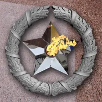Венок вечный огонь чугун звезда нержавеющая сталь в Ржеве (518577)