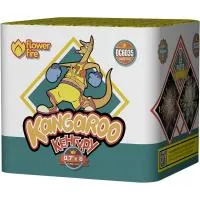 Батарея салютов Кенгуру ОС6035 купить от производителя Огненный Цветок — Ржев