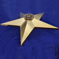 Звезда вечный огонь (1628) поставка комплект горелка ГВД 379 10 89 00 ПС ø 1100 мм. пустотелая  в Ржеве