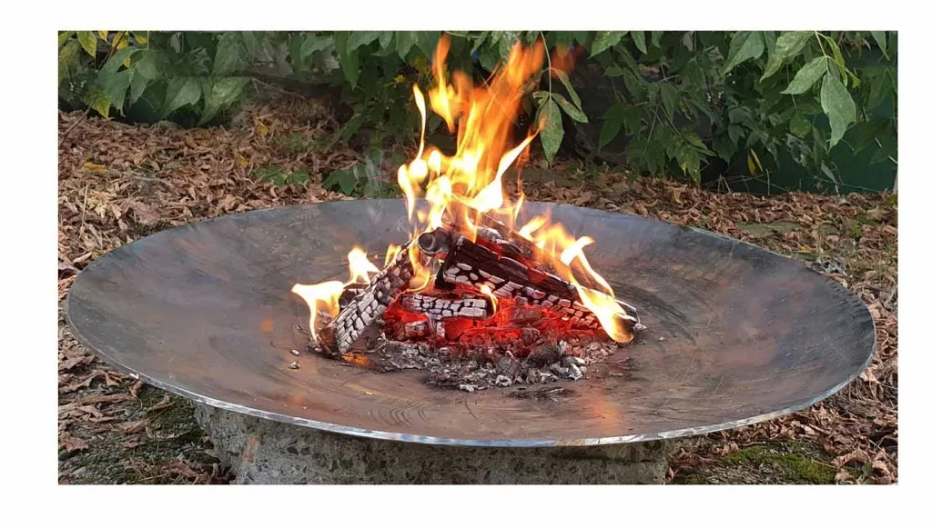 Кованная чаша для костра - авторский дизайн доставка в Ржев